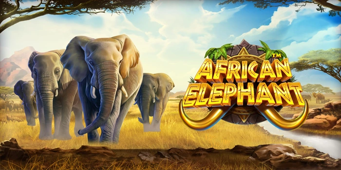 Jackpot Besar Hanya di Slot African Elephant Terpercaya